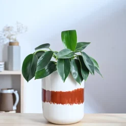 Twilight Clouds Ceramic Planter