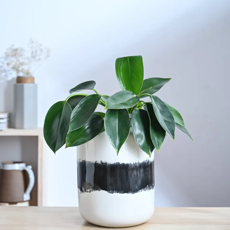 Twilight Clouds Ceramic Planter