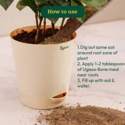 Ugaoo Bone Meal - 1 kg