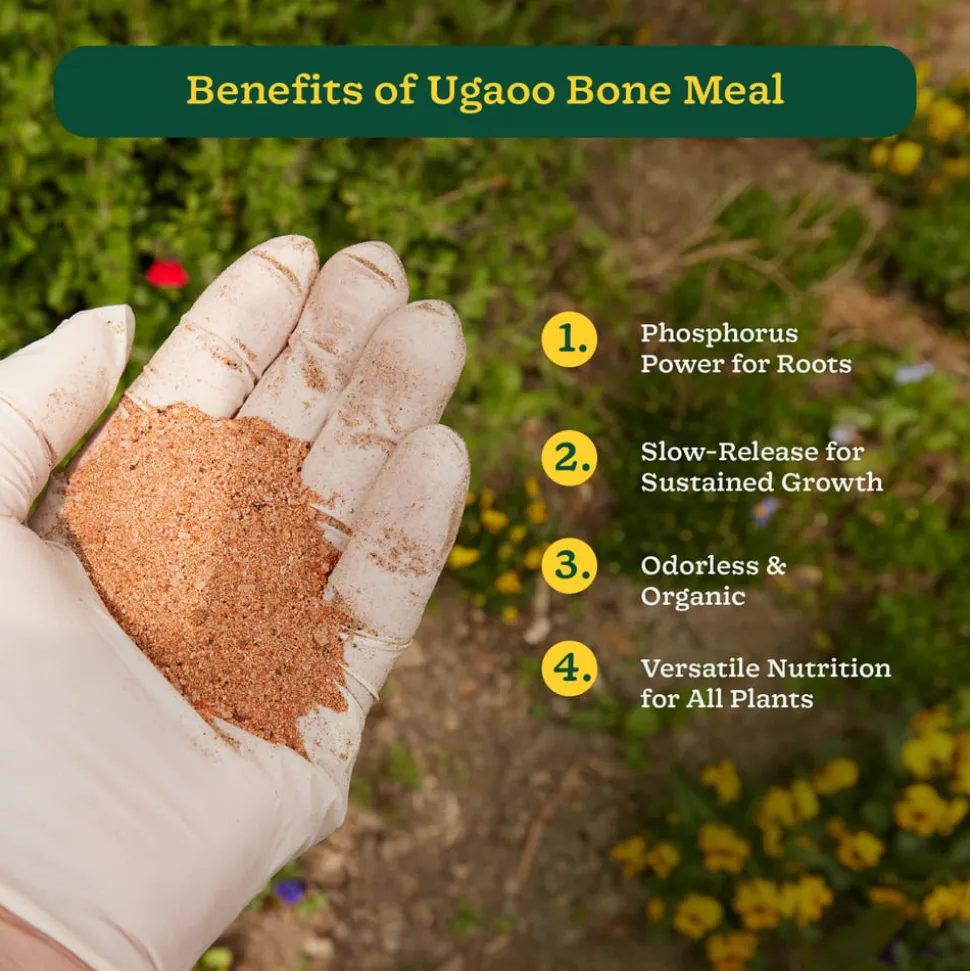 Ugaoo Bone Meal - 1 kg