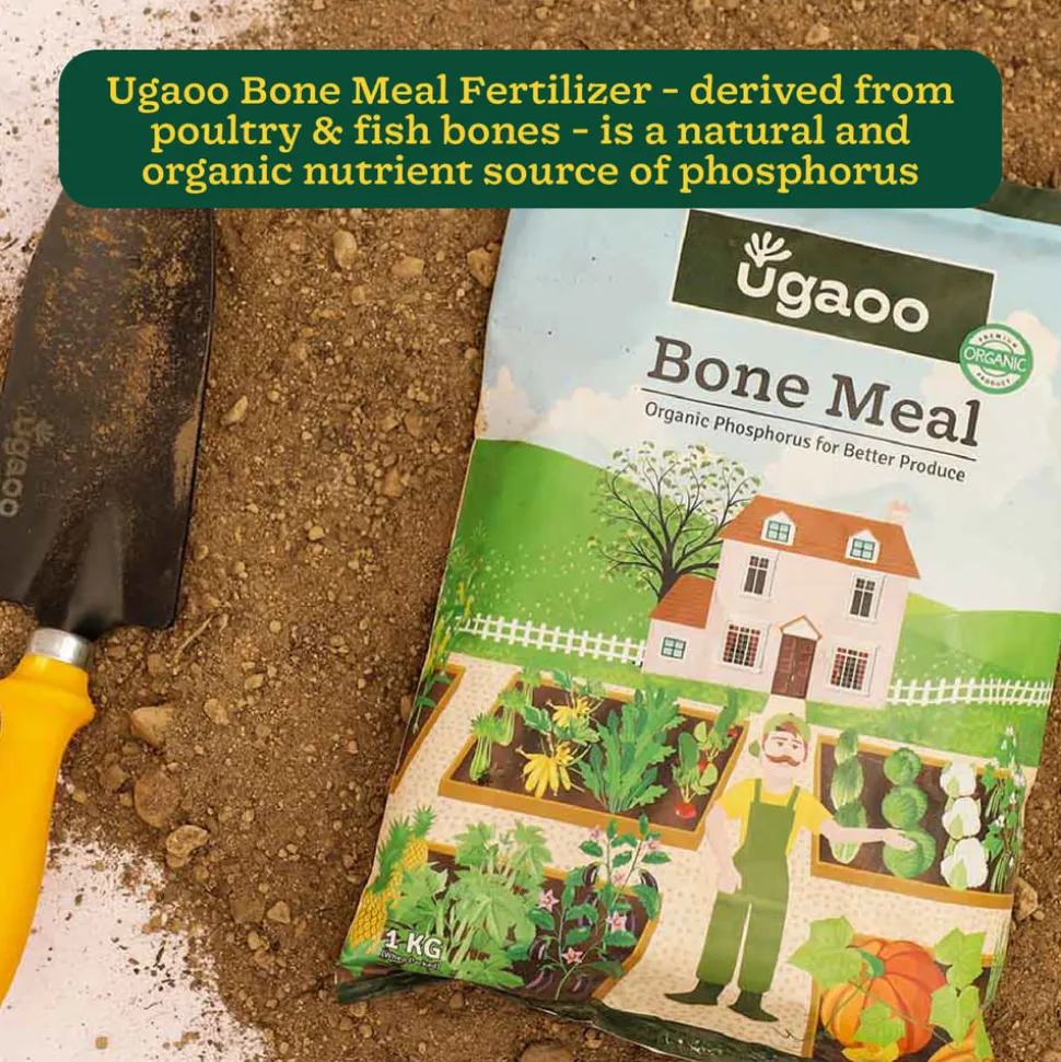 Ugaoo Bone Meal - 1 kg