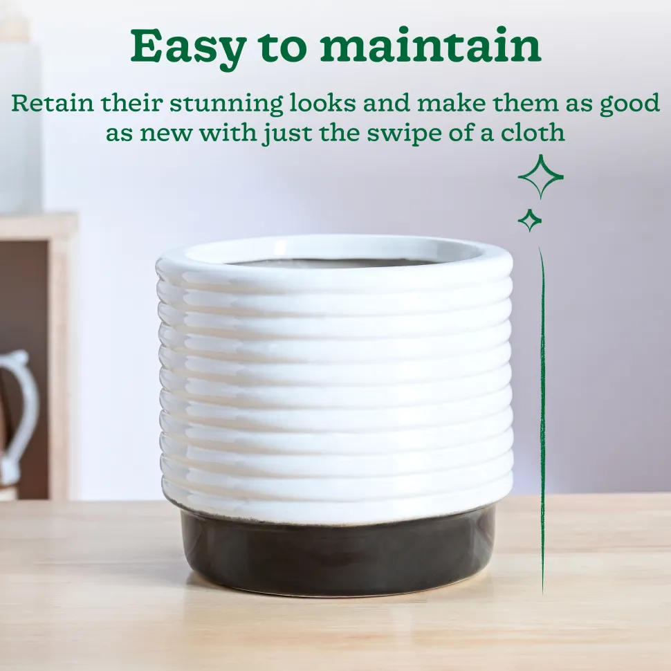 Untold stories Ceramic Planter
