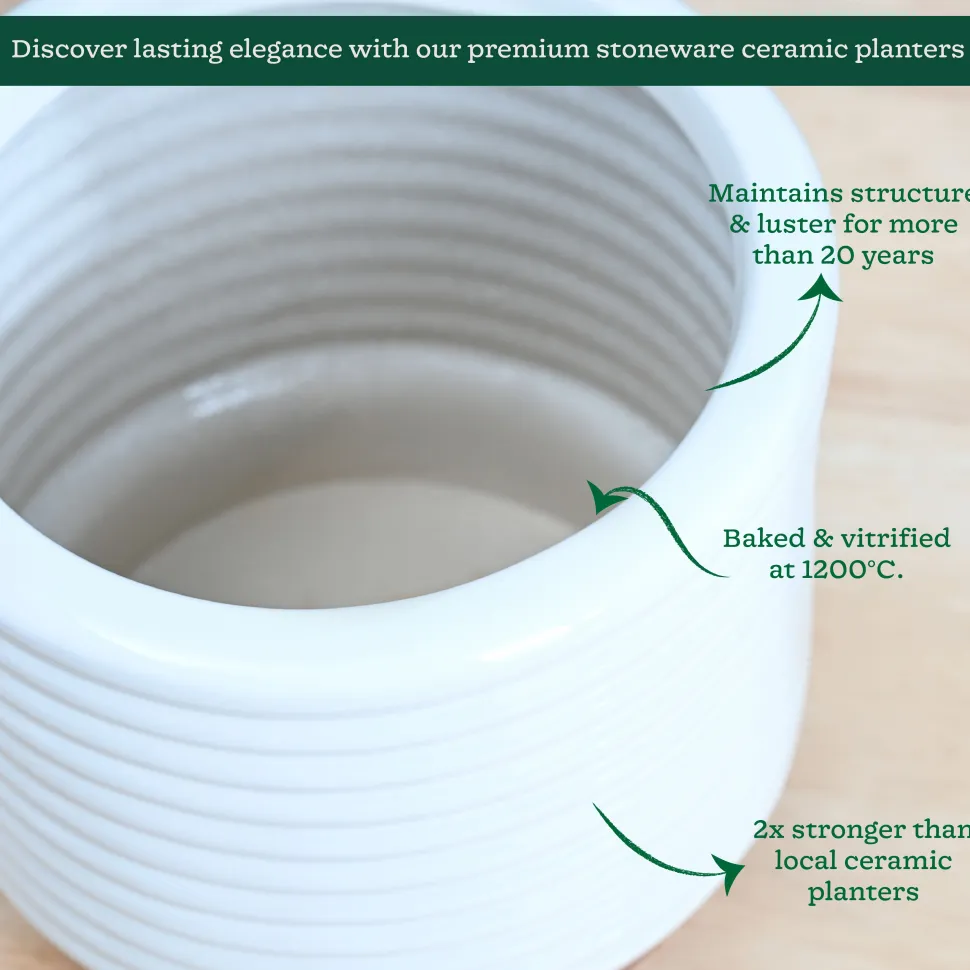Untold stories Ceramic Planter