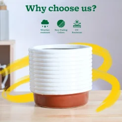 Untold stories Ceramic Planter