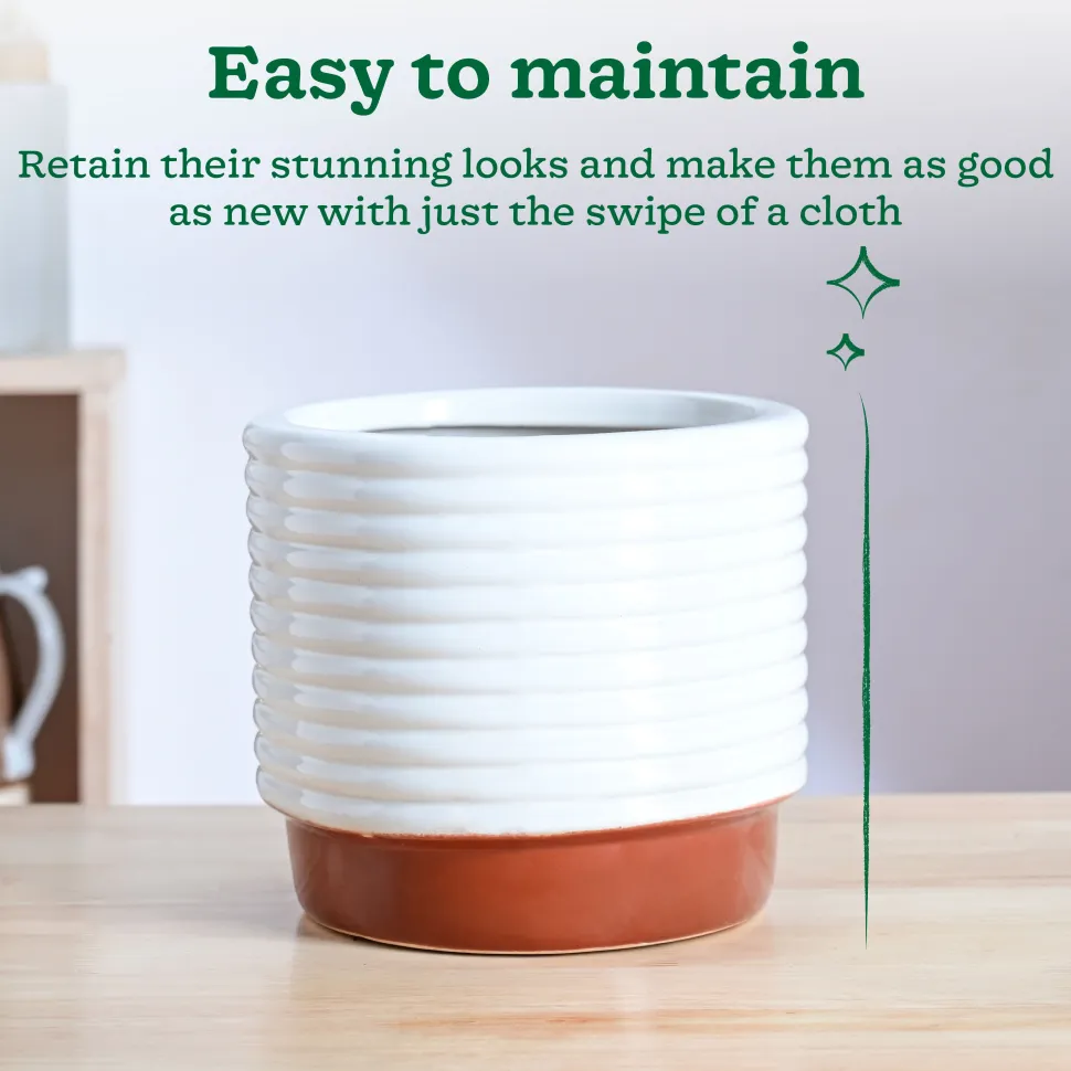 Untold stories Ceramic Planter