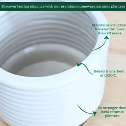 Untold stories Ceramic Planter