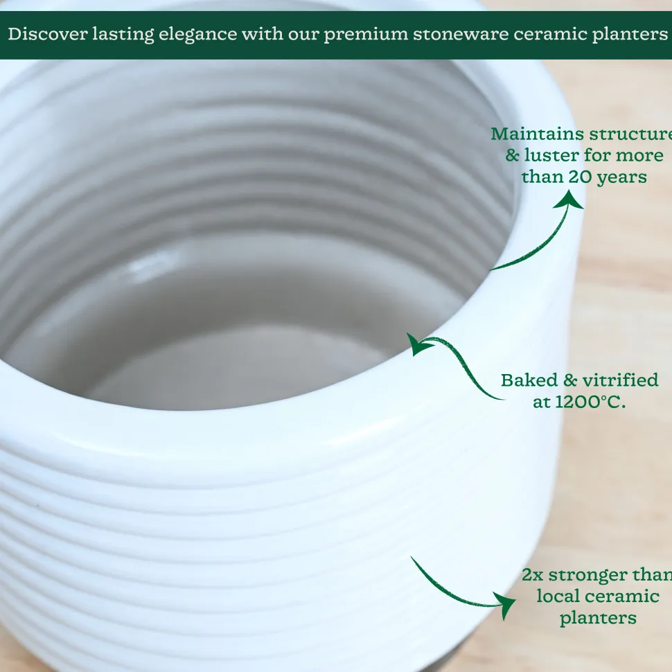 Untold stories Ceramic Planter