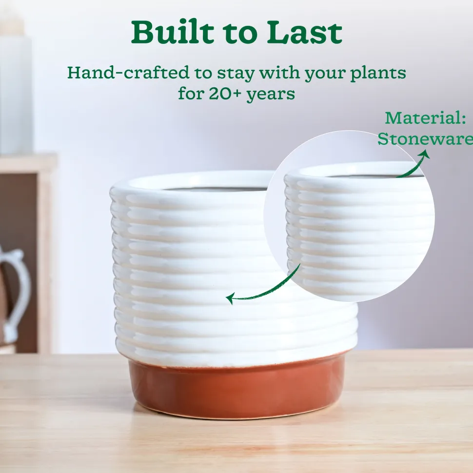 Untold stories Ceramic Planter