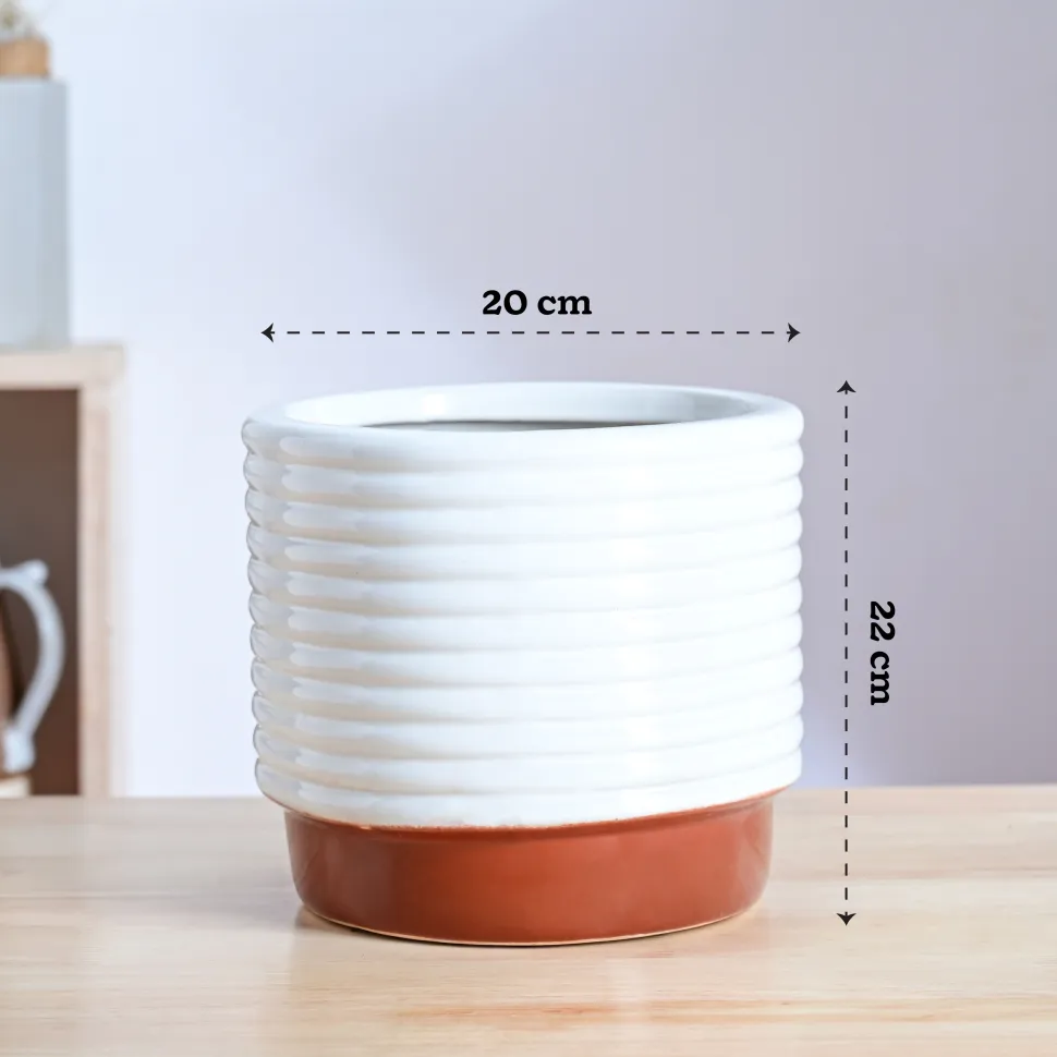 Untold stories Ceramic Planter