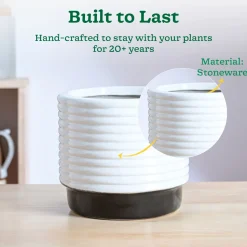 Untold stories Ceramic Planter