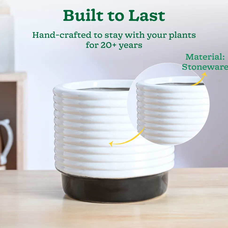 Untold stories Ceramic Planter