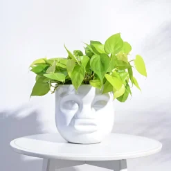 Unwavered Love - Kids Pout Face Ceramic Pot