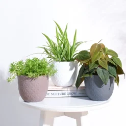 Verona Diamond Planter