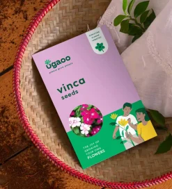 Vinca Seeds