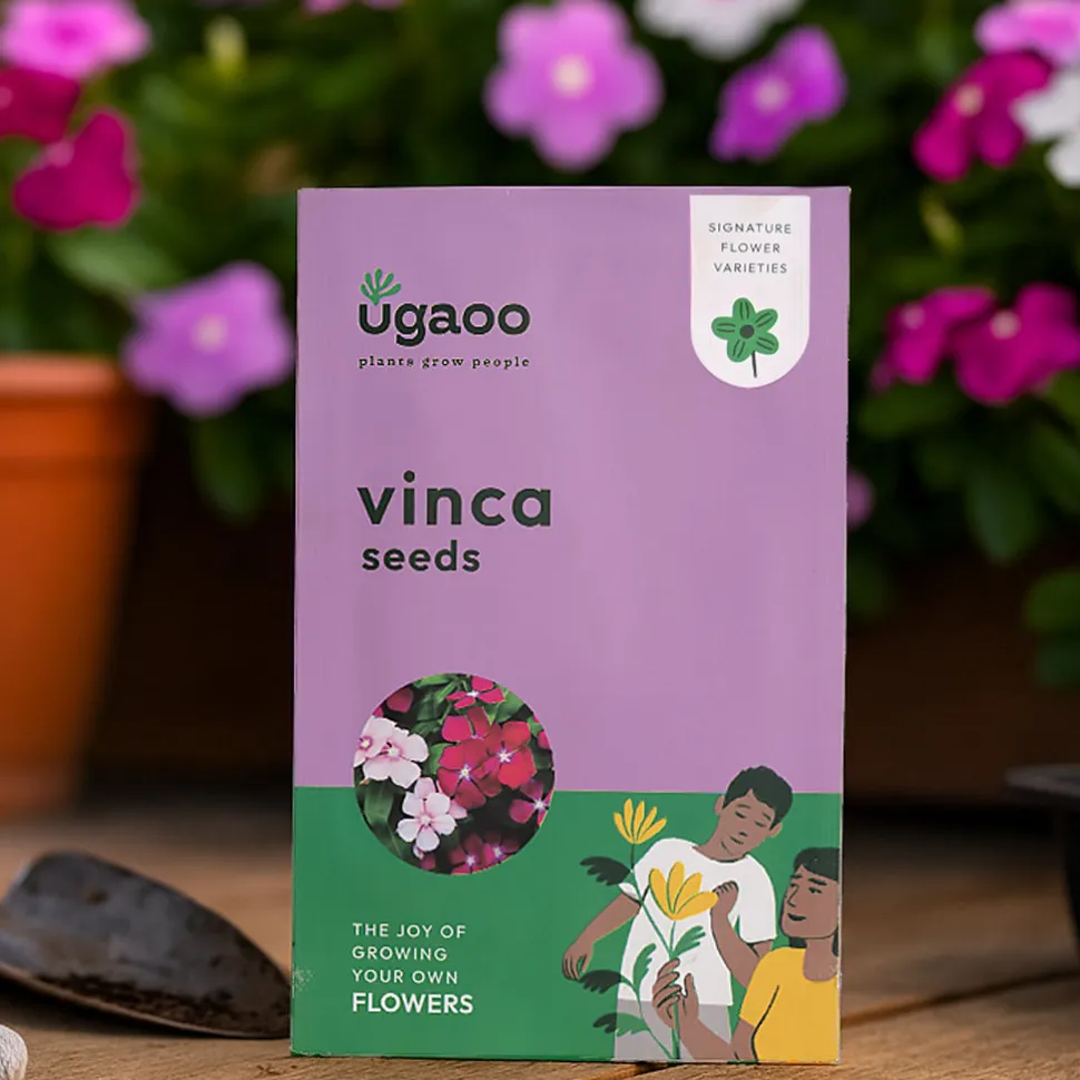 Vinca Seeds