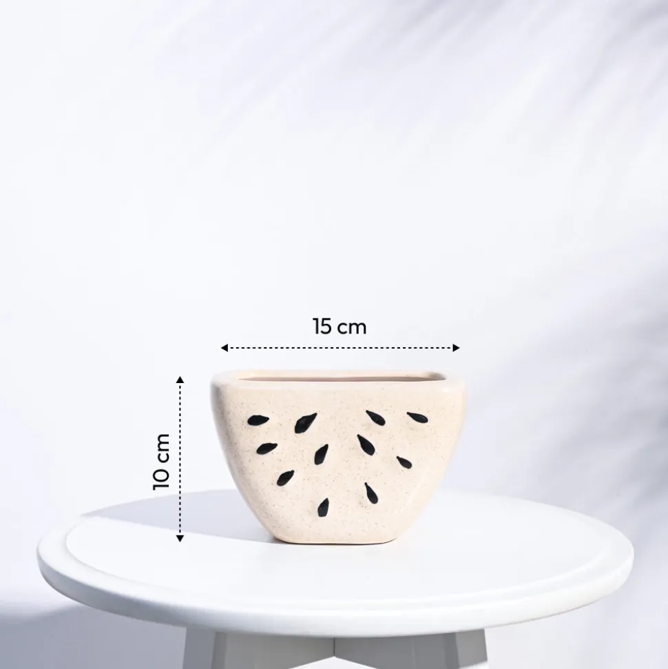 Watermelon Ceramic Planter (5.5 Inch Width)