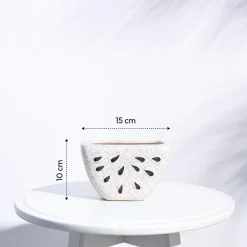 Watermelon Ceramic Planter (5.5 Inch Width)