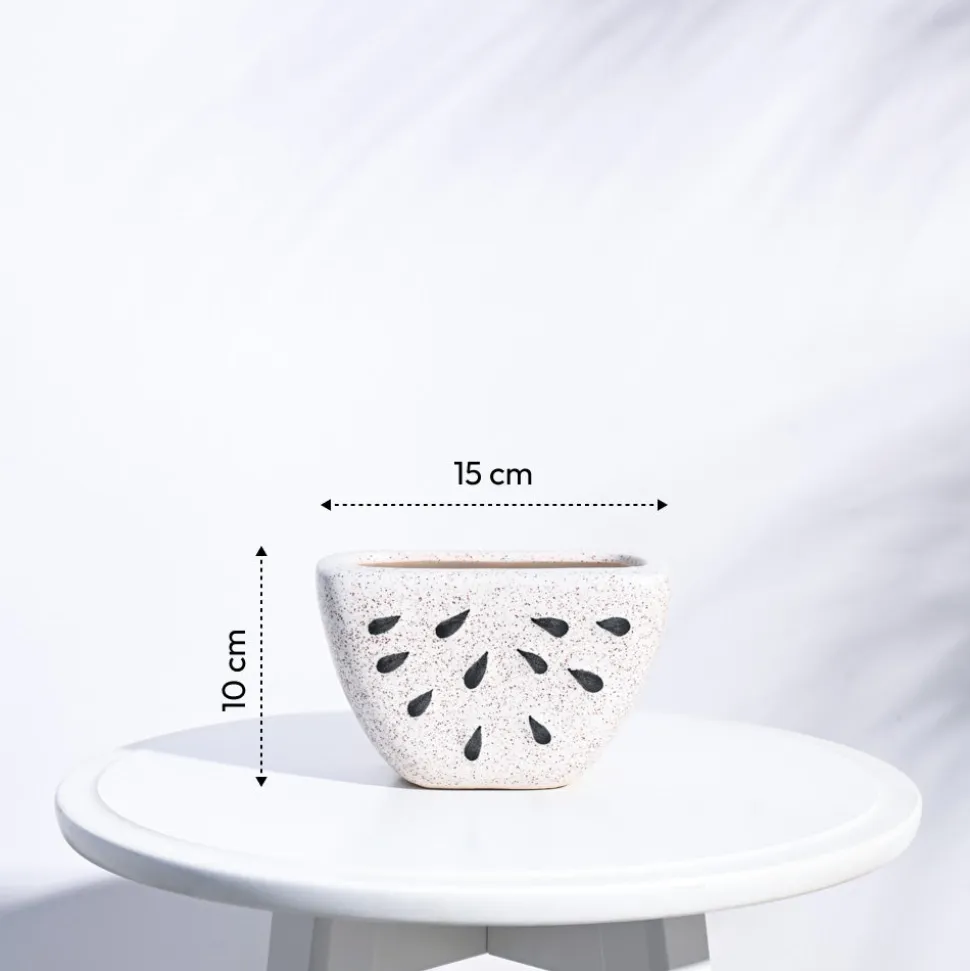 Watermelon Ceramic Planter (5.5 Inch Width)