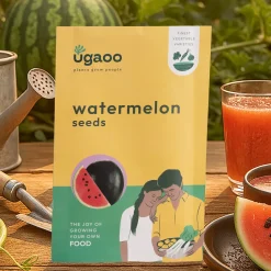 Watermelon Seeds