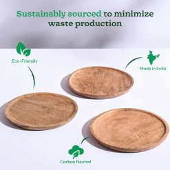 Wooden Plant Tray - Set of 3