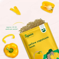 Yellow Capsicum Seeds
