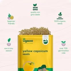 Yellow Capsicum Seeds
