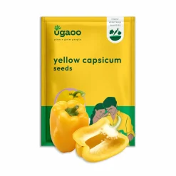 Yellow Capsicum Seeds
