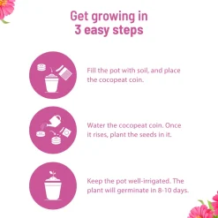 Zinnia Grow Kit