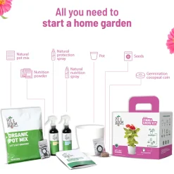 Zinnia Grow Kit