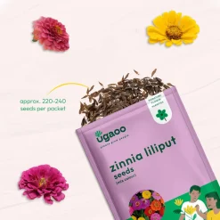 Zinnia Lilliput Mix Seeds